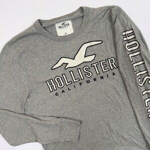 Hollister Long Sleeve Graphic Tee Mens Medium Gray California Seagull Logo Shirt